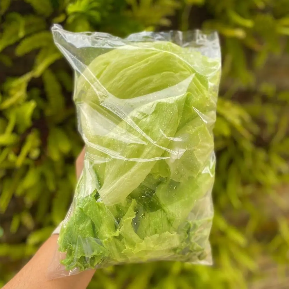 Alface americana higienizada 170g